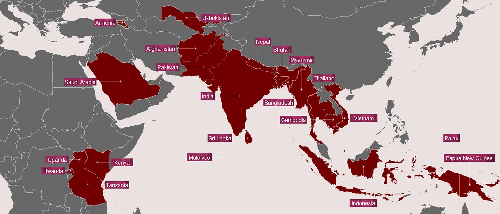 https://rmatest.stcreativelabs.com/wp-content/uploads/2023/02/International-Experience-Map-14-Feb-2023.jpg